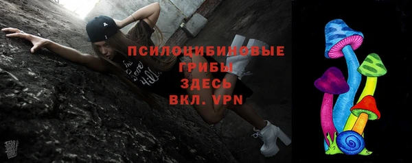 винт Новозыбков