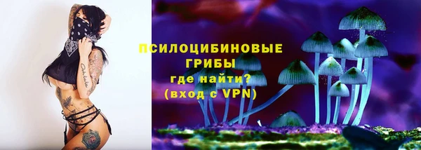 твердый Новокубанск
