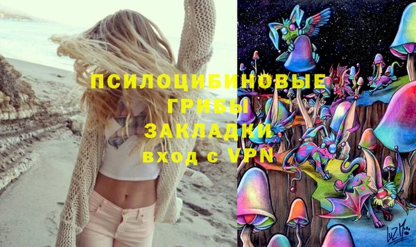 винт Новозыбков