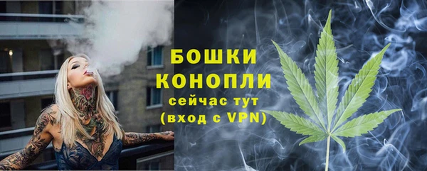 винт Новозыбков