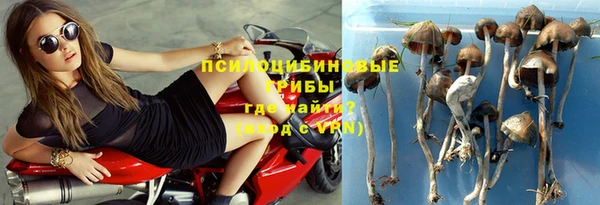 винт Новозыбков