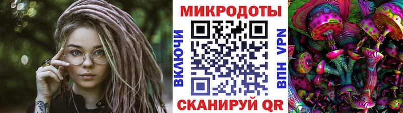 где можно купить Калининец Псилоцибиновые грибы мицелий